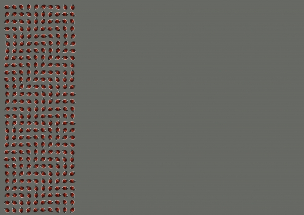 Creation of Beetlewaves: Step 1